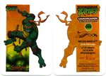 Michelangelo