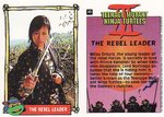 The Rebel Leader