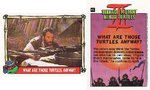 What Are Those Turtles, Anyway?