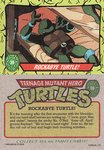 Rockabye Turtle!