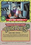 "Next Time, Turtles ...!"
