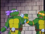 turtles102.jpg