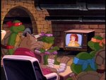 turtles11.jpg