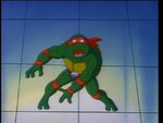 turtles113.jpg
