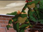 turtles115.jpg