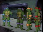 turtles117.jpg