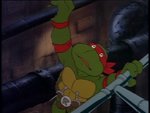 turtles131.jpg