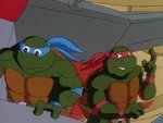 turtles149.jpg