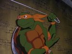 turtles156.jpg