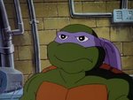 turtles157.jpg