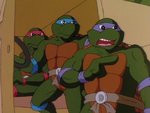 turtles158.jpg
