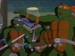 turtles159.jpg