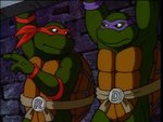turtles166.jpg