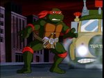 turtles170.jpg