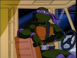 turtles171.jpg