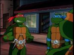 turtles172.jpg