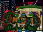 turtles173.jpg