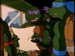 turtles174.jpg
