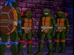 turtles178.jpg