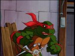 turtles182.jpg