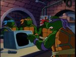 turtles183.jpg