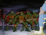 turtles188.jpg