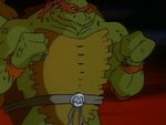 turtles189.jpg
