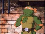 turtles2.jpg