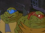 turtles204.jpg