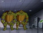 turtles205.jpg