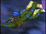 turtles25.jpg