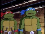 turtles29.jpg