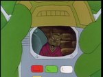 turtles34.jpg