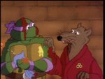 turtles37.jpg