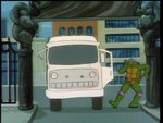 turtles43.jpg