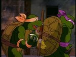 turtles52.jpg