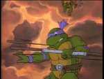 turtles58.jpg