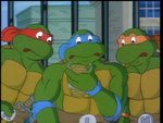 turtles63.jpg