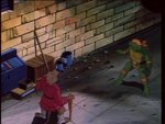 turtles65.jpg