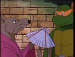 turtles69.jpg