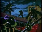 turtles72.jpg