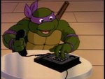 turtles77.jpg